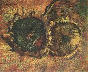 Vincent Van Gogh Two Cut Sunflowers (nn04) oil painting reproduction